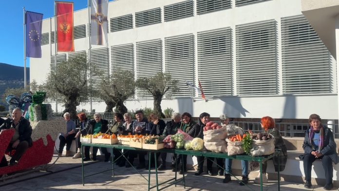 newest-news-post-image