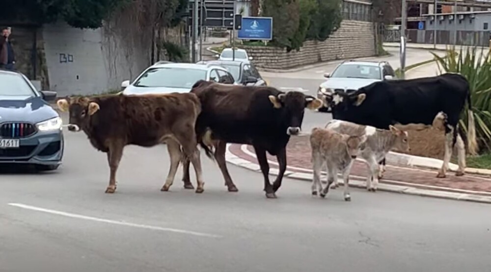 newest-news-post-image