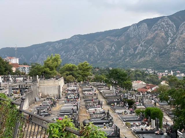 newest-news-post-image