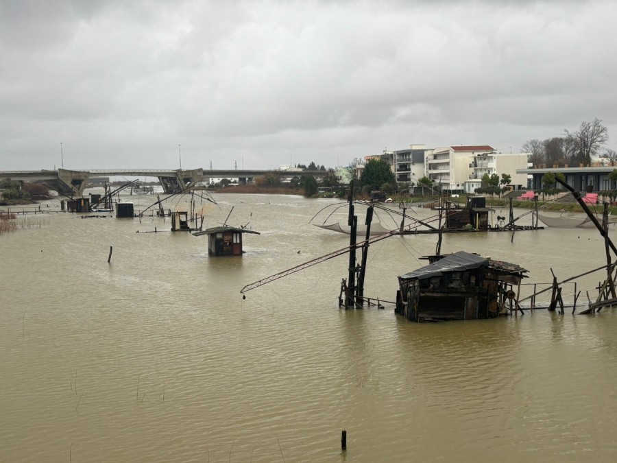 newest-news-post-image