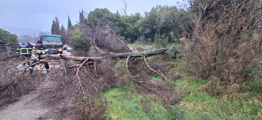 newest-news-post-image