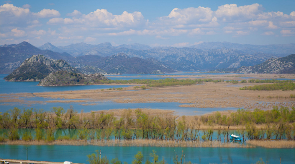 newest-news-post-image