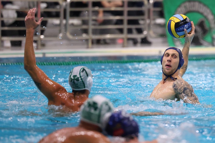 newest-news-post-image