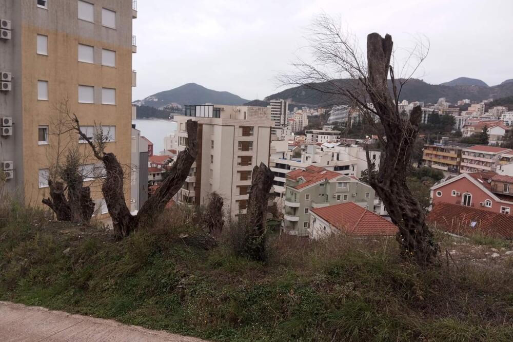 single-inner-news-image