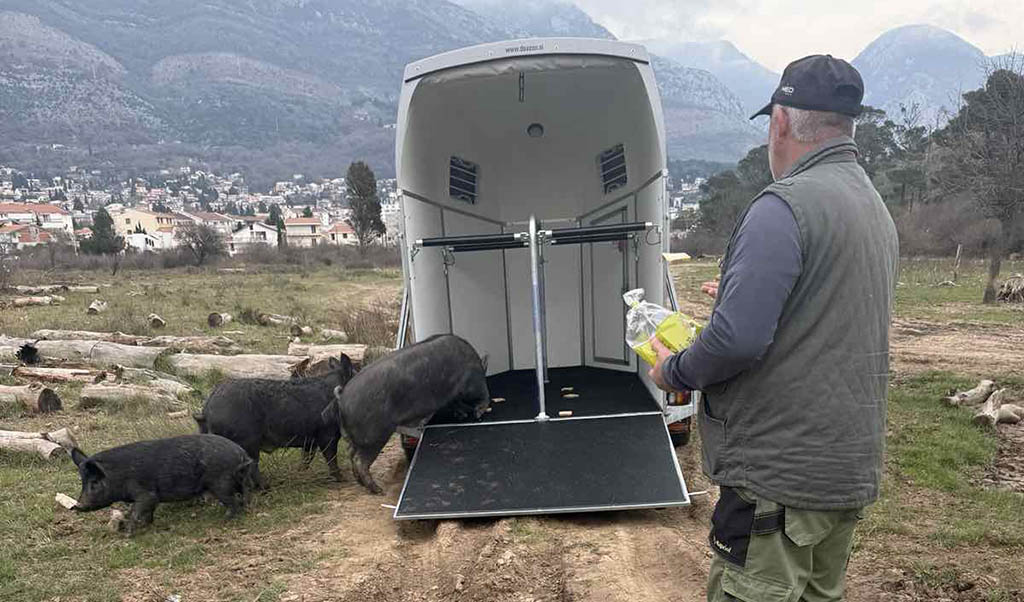 newest-news-post-image