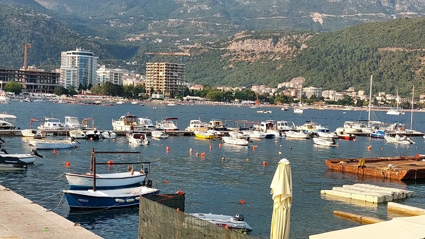 newest-news-post-image