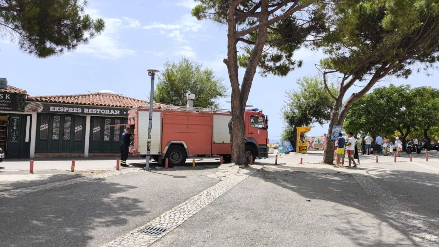 newest-news-post-image