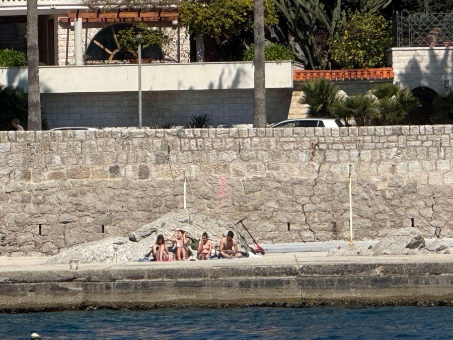 newest-news-post-image