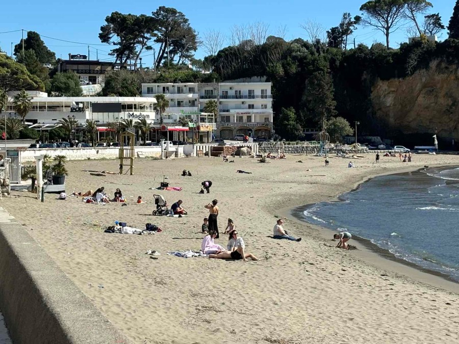 newest-news-post-image