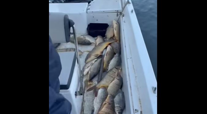 newest-news-post-image