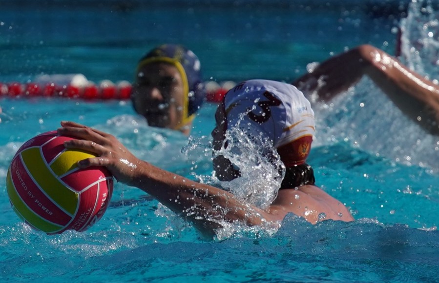 newest-news-post-image