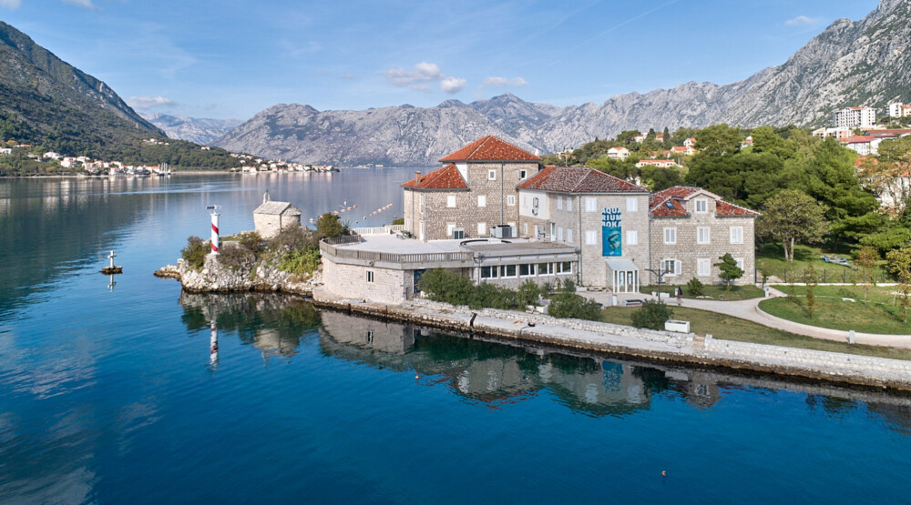 newest-news-post-image