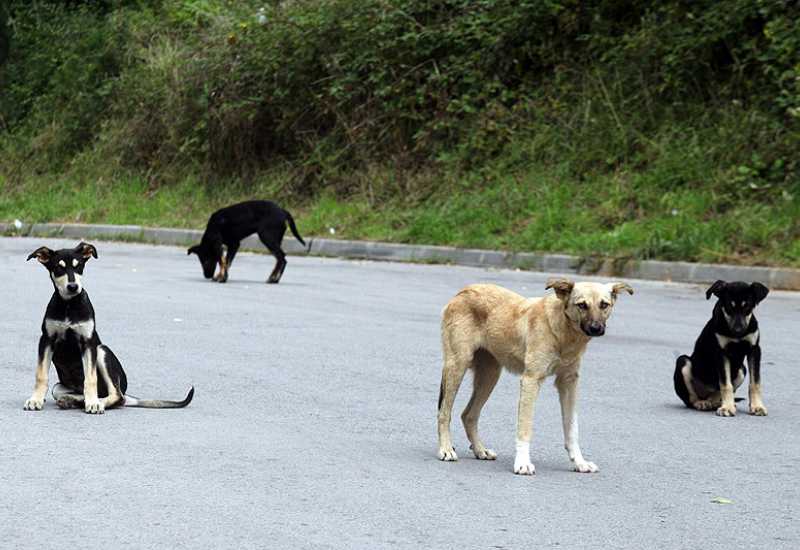 newest-news-post-image