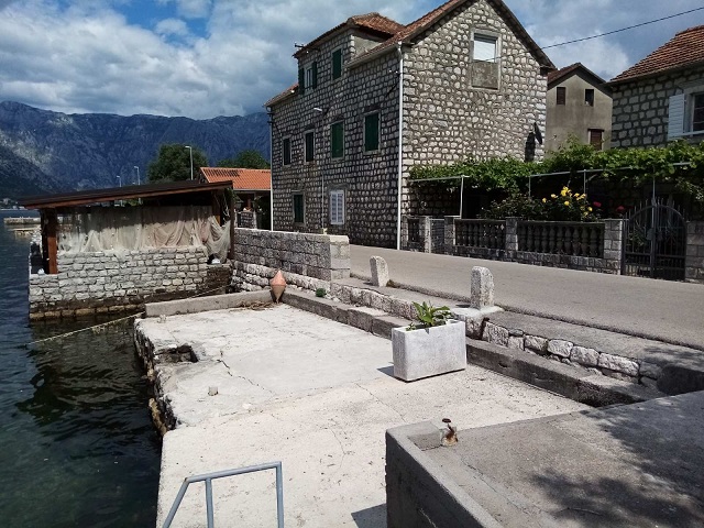 newest-news-post-image