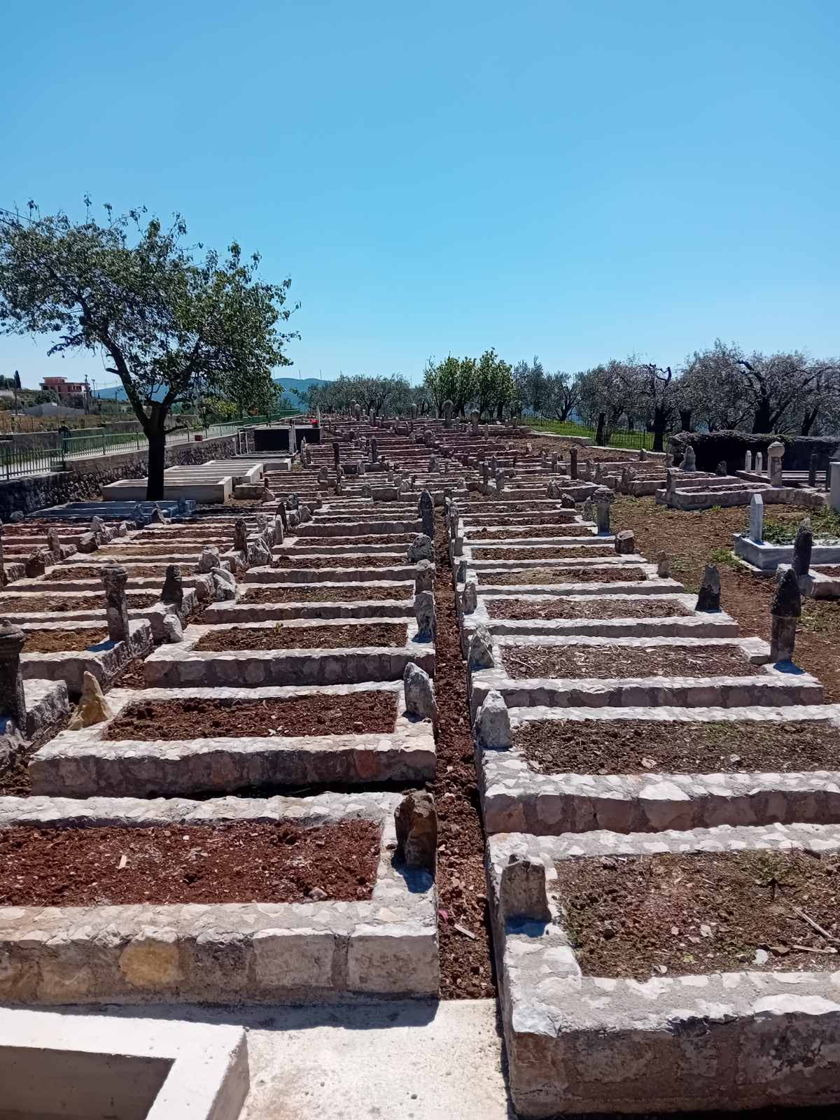 newest-news-post-image