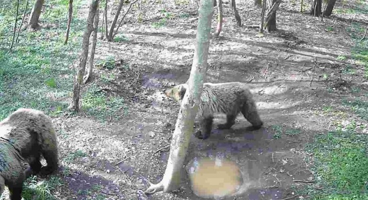 newest-news-post-image